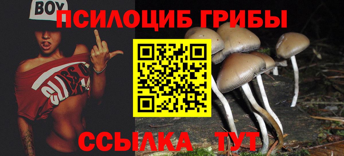 Псилоцибиновые грибы ЛСД  продажа наркотиков  Ревда  Вход с VPN  Галлюциногенные грибы Magic Shrooms 